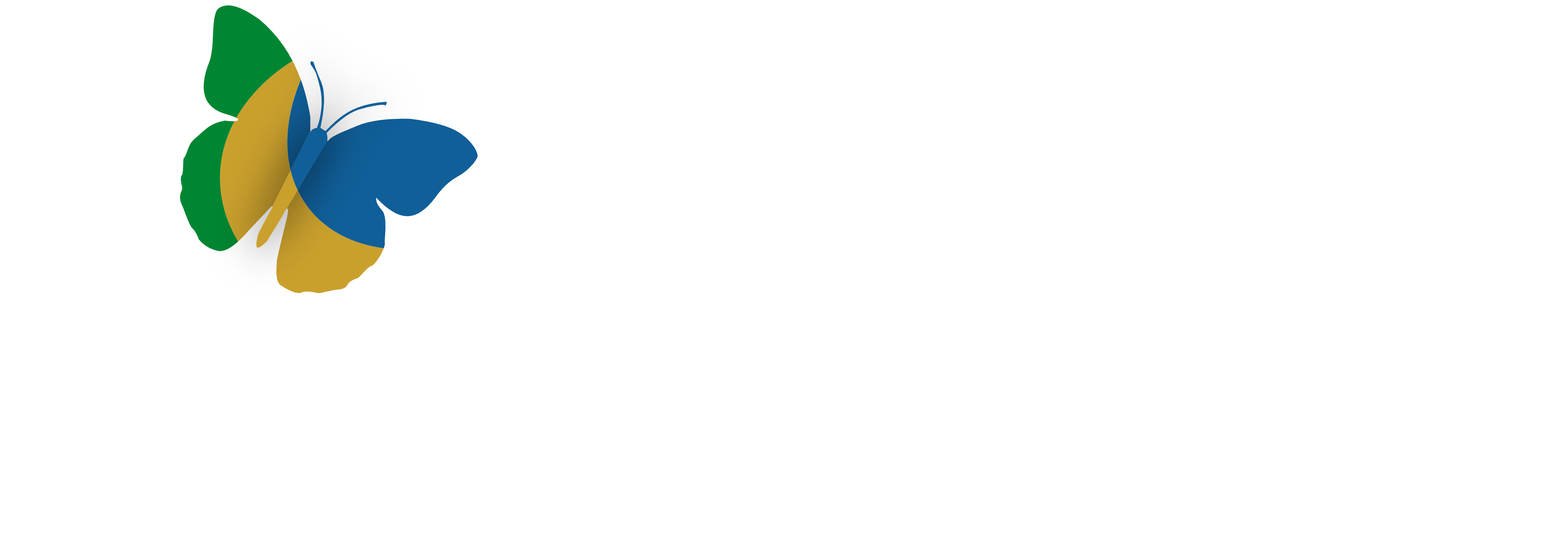 Logotipo FOP Brasil